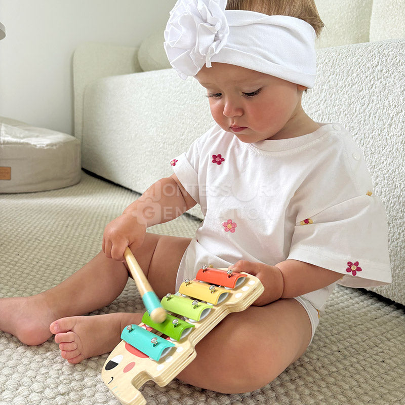 Montessori Music Set