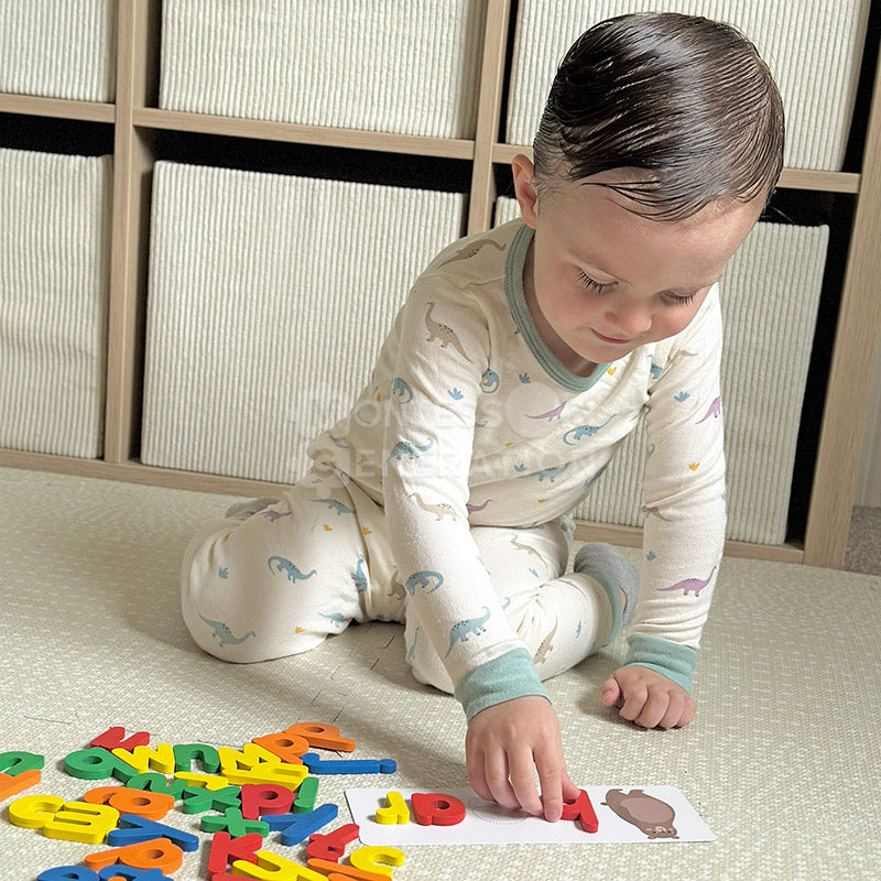 Montessori Wooden Spelling Game